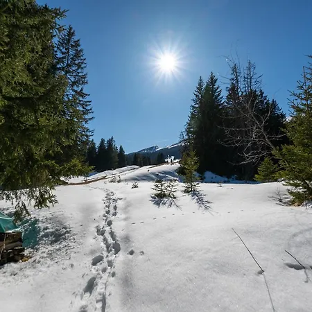 Apartment Heidsee La Riva